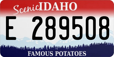 ID license plate E289508