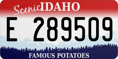 ID license plate E289509