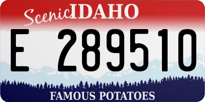 ID license plate E289510