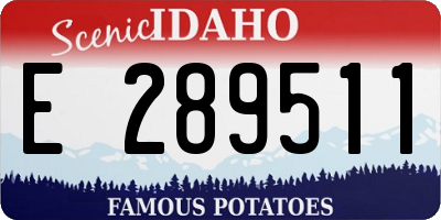 ID license plate E289511