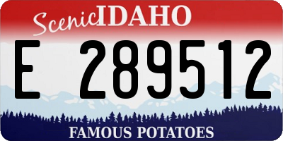 ID license plate E289512