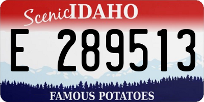 ID license plate E289513