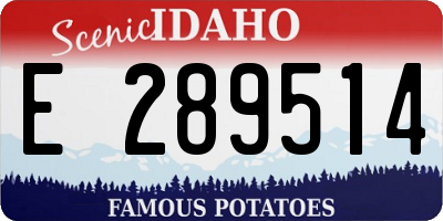 ID license plate E289514