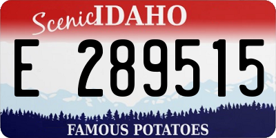 ID license plate E289515