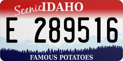 ID license plate E289516