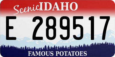 ID license plate E289517