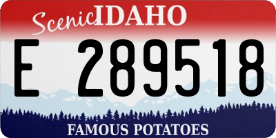 ID license plate E289518