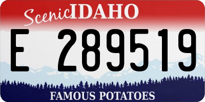 ID license plate E289519