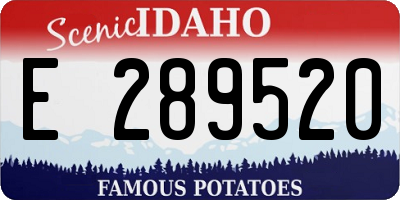 ID license plate E289520