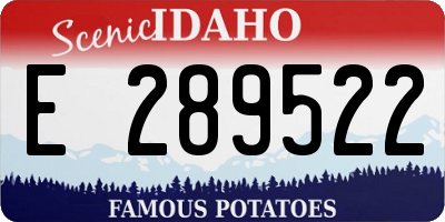 ID license plate E289522