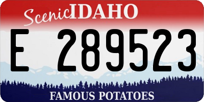 ID license plate E289523