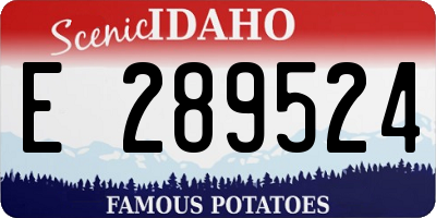 ID license plate E289524