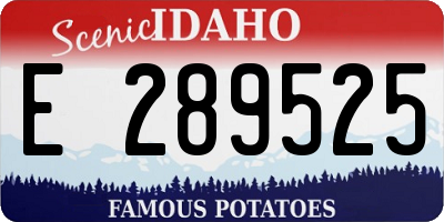 ID license plate E289525