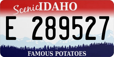 ID license plate E289527