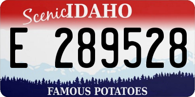 ID license plate E289528