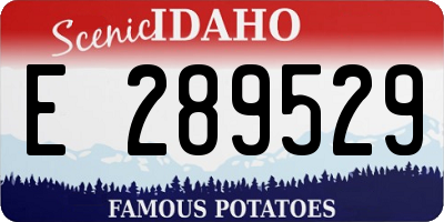 ID license plate E289529