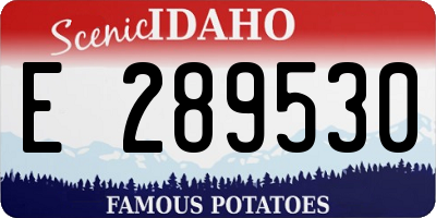 ID license plate E289530