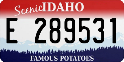 ID license plate E289531