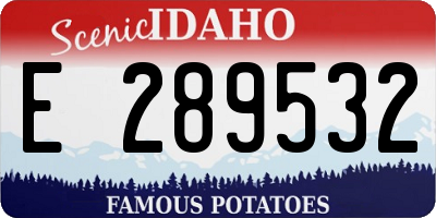 ID license plate E289532