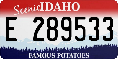 ID license plate E289533