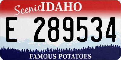 ID license plate E289534