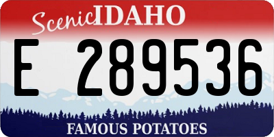 ID license plate E289536