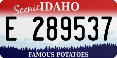ID license plate E289537