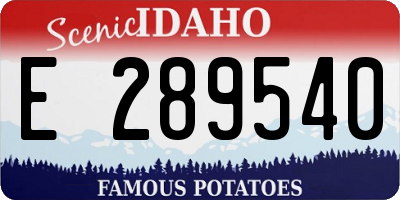 ID license plate E289540
