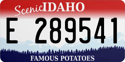 ID license plate E289541
