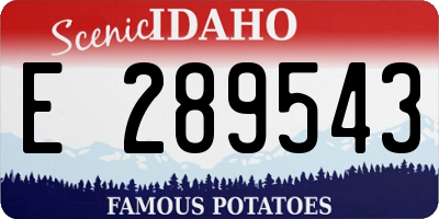 ID license plate E289543
