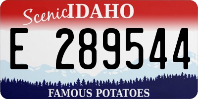 ID license plate E289544