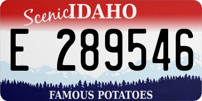 ID license plate E289546