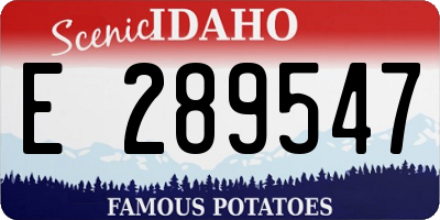 ID license plate E289547
