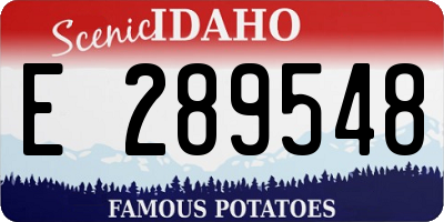 ID license plate E289548