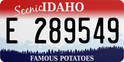 ID license plate E289549