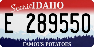 ID license plate E289550