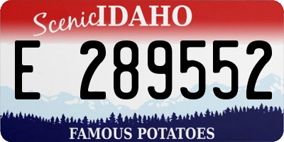 ID license plate E289552