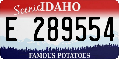 ID license plate E289554