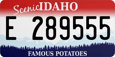 ID license plate E289555