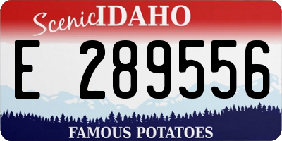 ID license plate E289556