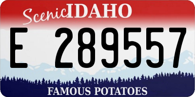 ID license plate E289557