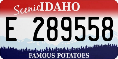 ID license plate E289558