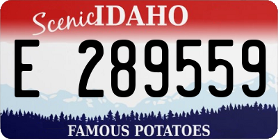 ID license plate E289559