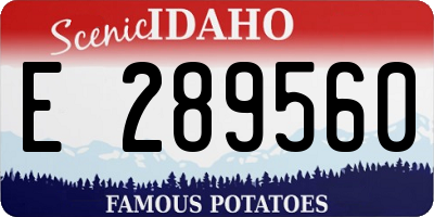 ID license plate E289560