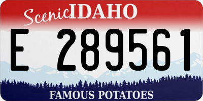 ID license plate E289561
