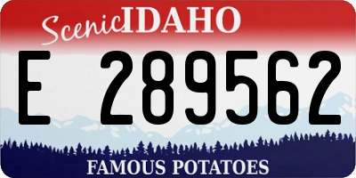 ID license plate E289562