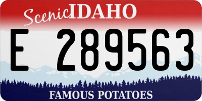 ID license plate E289563