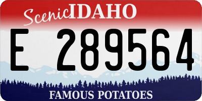 ID license plate E289564