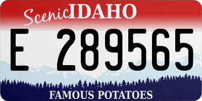 ID license plate E289565
