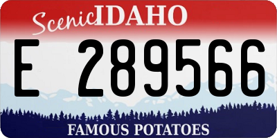 ID license plate E289566